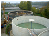 Biogasanlage Auligk
