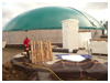 Biogasanlage Reupelsdorf